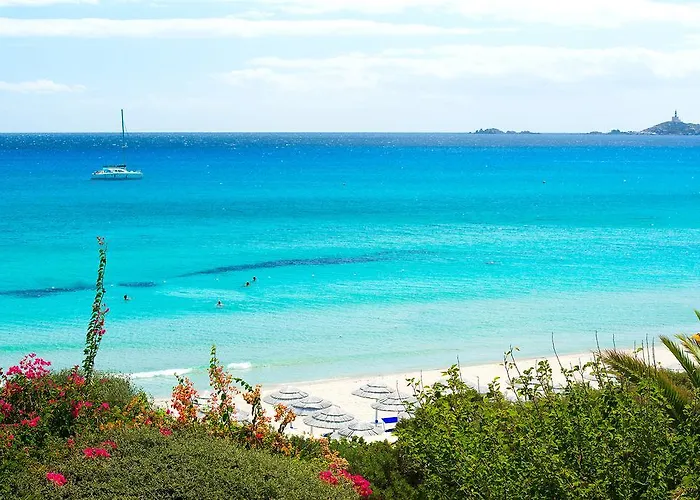 Hotel Simius Playa 4*