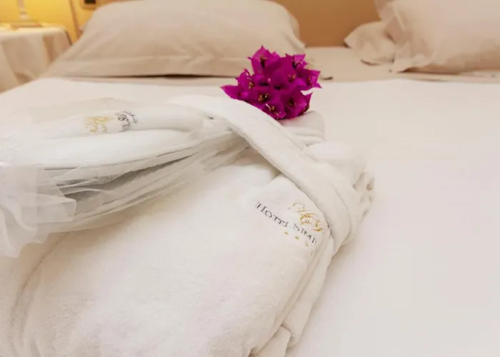 酒店 西缪斯培拉亚酒店 4*