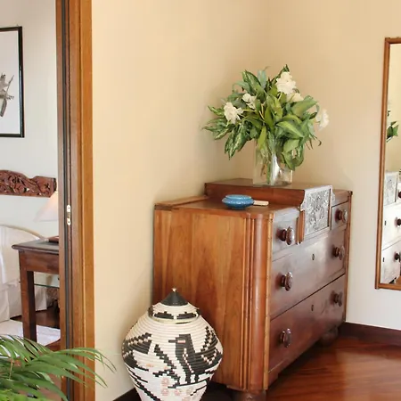 시미우스 플라이아 빌라시미우스