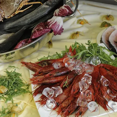 호텔 시미우스 플라이아 4*