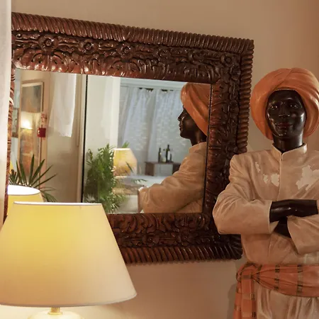 시미우스 플라이아 4*