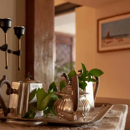 호텔 시미우스 플라이아 4*